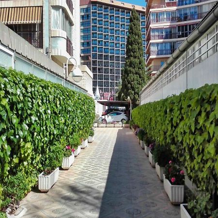 Apartamento Marques de la Conquista Benidorm Exterior foto